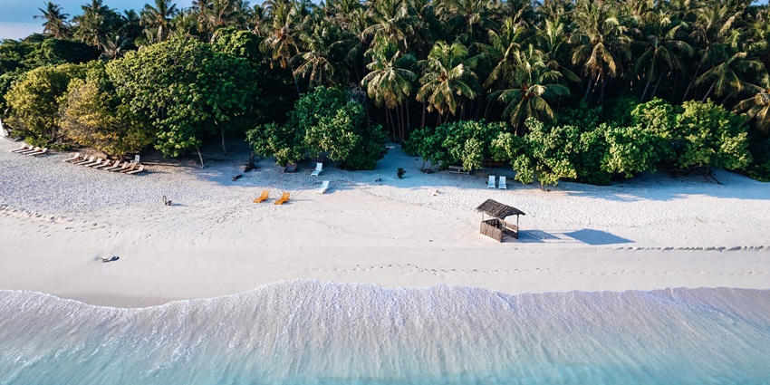Sunny beach and palm trees on Utheemu Island, one of the top places to visit in Maldives in April.