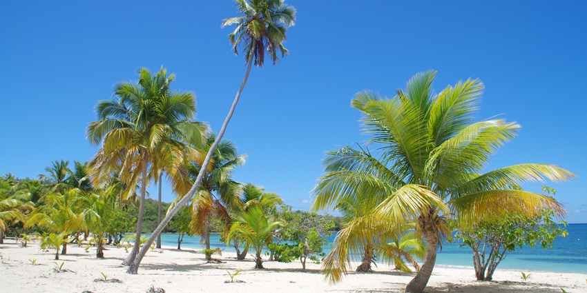 Explore wild beaches and kayak the magical Bioluminescent Bay at night in Vieques.