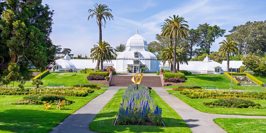 A San Francisco botanical garden with colourful flowers, capturing the city’s ever-changing views.