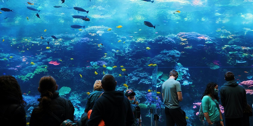 View of clearwater Marine Aquarium offers amazing family-friendly experiences in Florida.