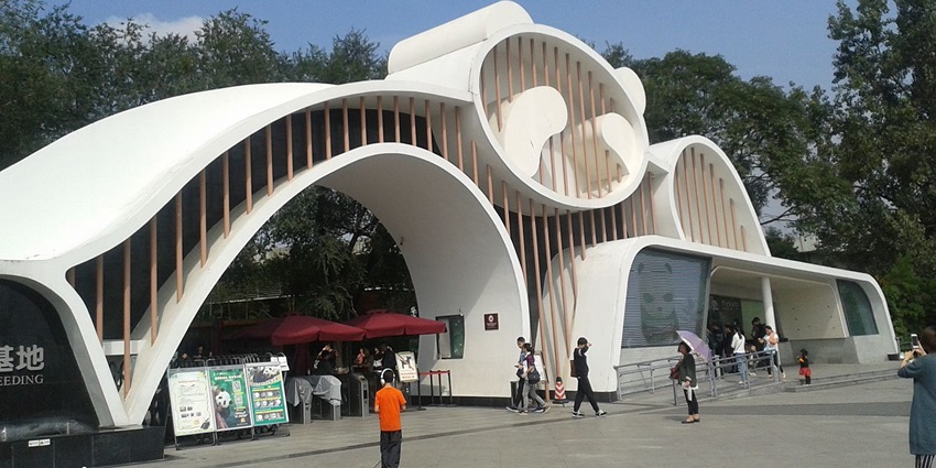 Things to do in Chengdu include observing playful giant pandas in a naturalistic enclosure at the panda research base.