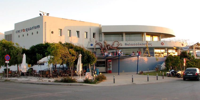 Things to do in Crete, Greece, include exploring vibrant marine life at one of Europe’s largest aquariums in Crete.