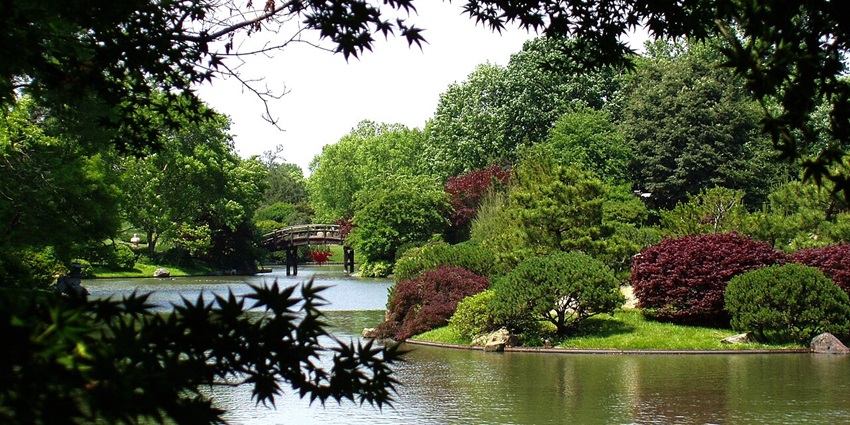 A trip to Missouri Botanical Garden, with landscapes and themed gardens.is one of the best things to do in St Louis.
