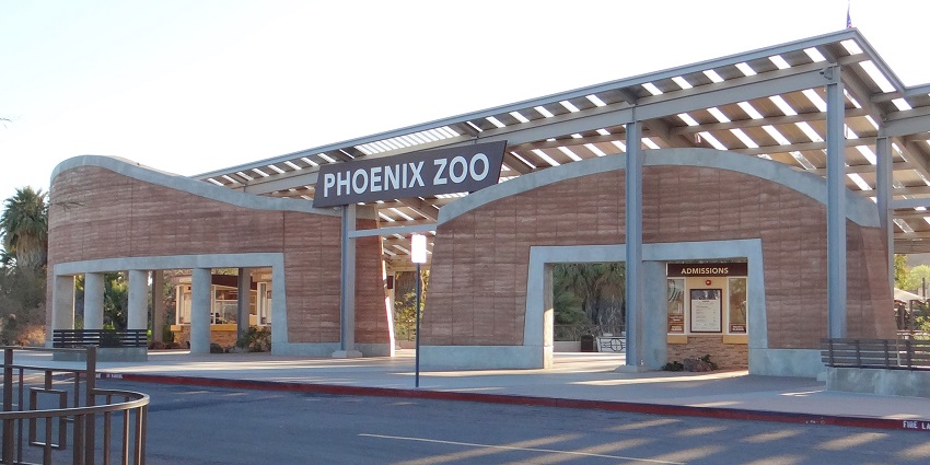 Things to do in Phoenix include exploring the Phoenix Zoo, featuring diverse animal exhibits.