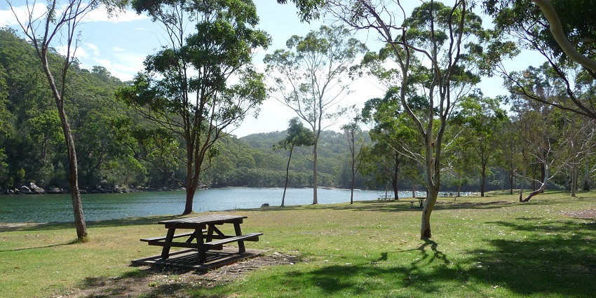 An image of the Roseville Bridge Picnic Area in the Davidson Park State Recreation Area