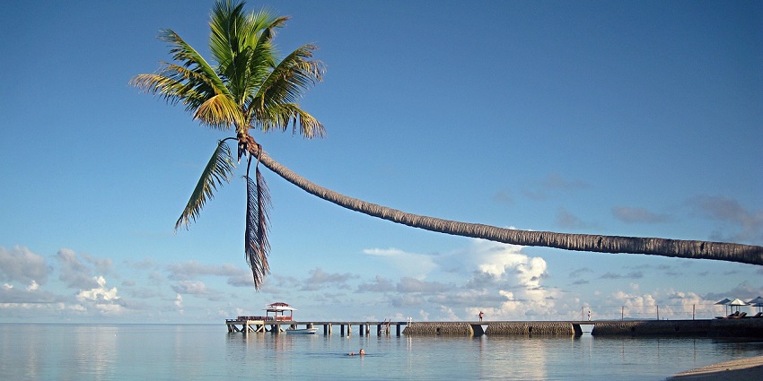Peaceful beach with calm waters, palm trees, and one of the best places to visit in Indonesia in January.
