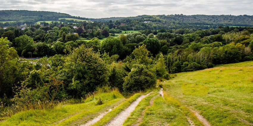 Hikers strolling through rolling hills in the Surrey Hills AONB.