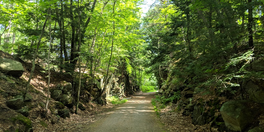 Things to do in Dunn, NC, include walking and biking on the peaceful Dunn-Erwin Rail Trail