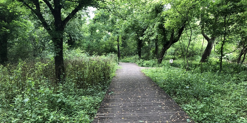 Things to do in East Islip include exploring wooden walkways through salt marshes