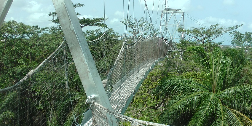 Things to do in Lagos include walking along the treetop canopy at Lekki Conservation Centre, enjoying views of wildlife.