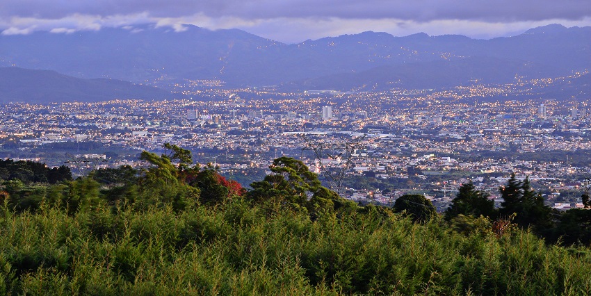 Lush coffee fields stretch across green hills, offering a scenic look at authentic things to do in Costa Rica.