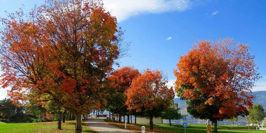 Strolling through Cheekwood’s gardens, one of the best things to do in Nashville in December.