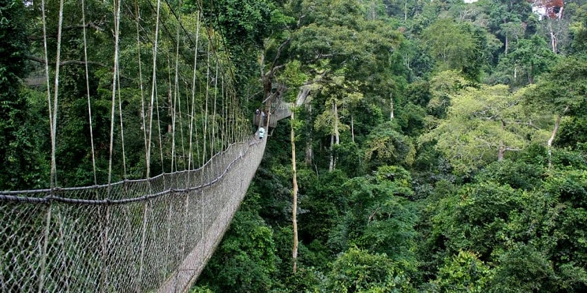 Part of Digya National Park, this island boasts wildlife and riverine forests.