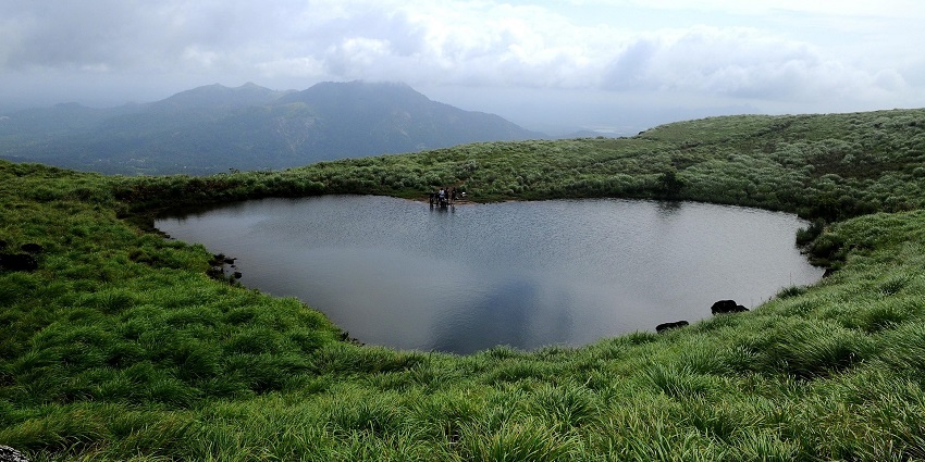 Serene river flowing through Wayanad’s green valleys — what is Wayanad famous for