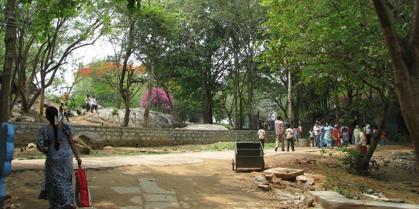 The lush green Bannerghatta National Park is why Bangalore is famous for its tranquility
