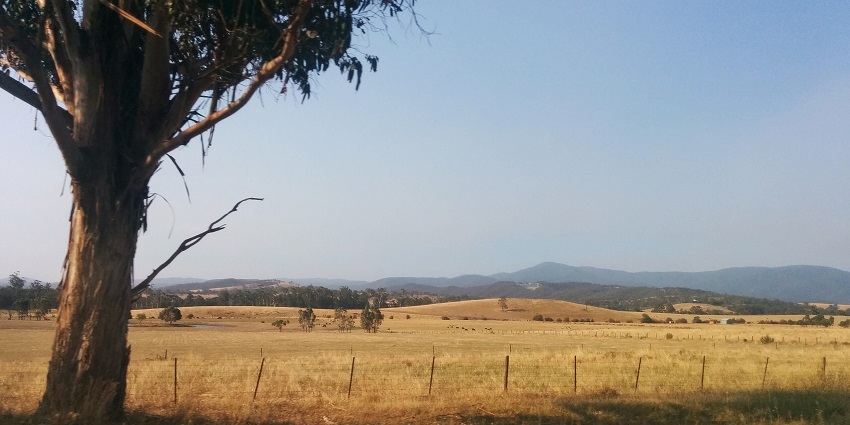 The lovely sight of the famous Yarra Valley in Australia, with no one in the surroundings.