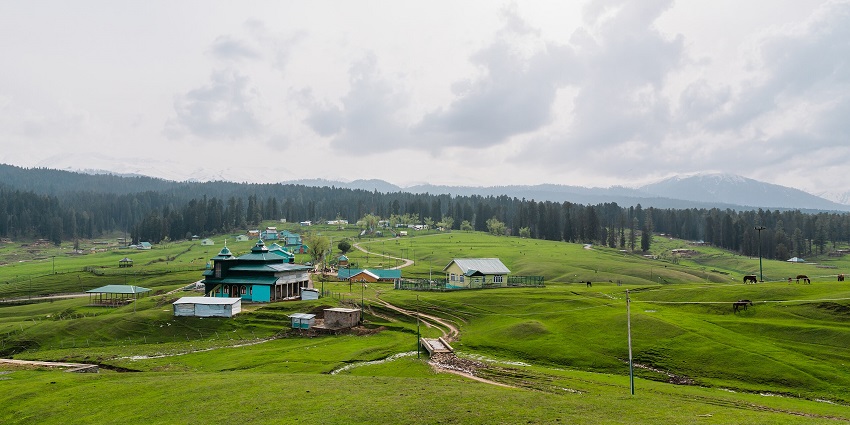Vast green meadows with pine trees, scattered houses, and distant hills, one of the best places to visit in Jammu in January.