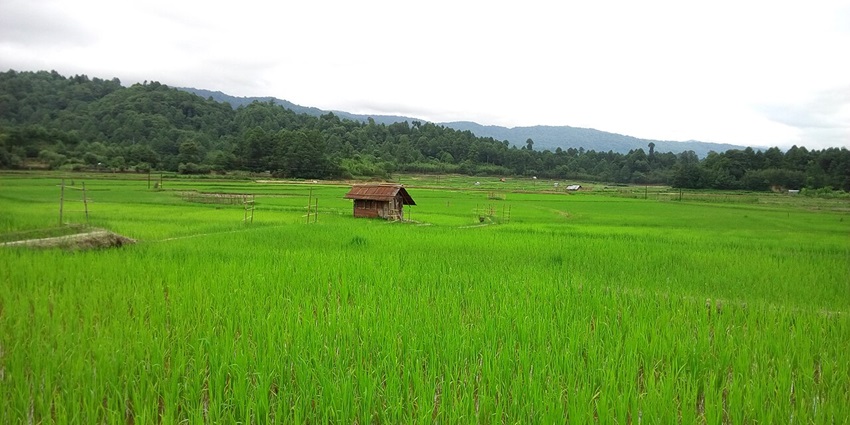 Mountains of Ziro Valley, one of the places to visit in Arunachal Pradesh in March