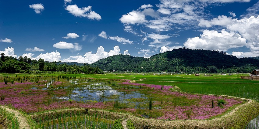 The Ziro Valley is one of the best places to visit in Arunachal Pradesh in December