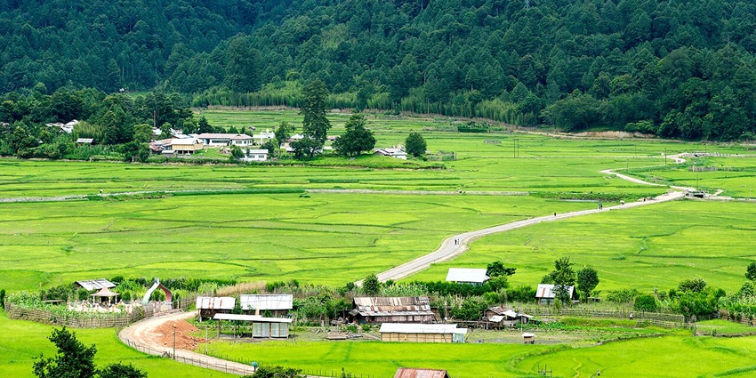 The lush green Ziro Valley, one of the best places to visit in Arunachal Pradesh in July