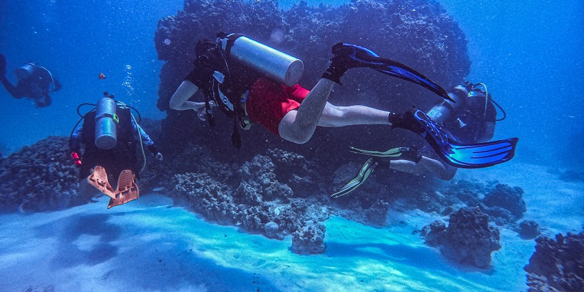 A diver swims near shipwreck remains and coral reefs—one of the thrilling things to do in Hikkaduwa.