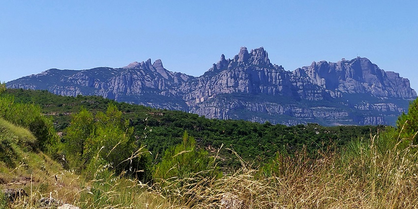 Mountains and lush greenery around Albufera Natural Park, one of the top places to visit near Valencia.