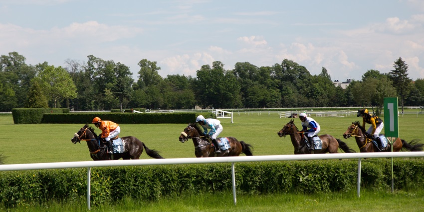 Attending a horse race is one of the most thrilling things to do in Huntingdon.