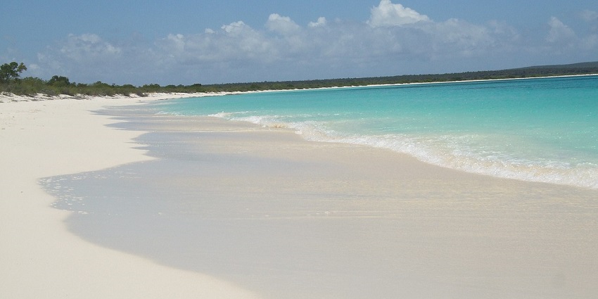 Experience Bahía de las Águilas, a breathtaking Dominican beach with unspoiled nature and clear waters.