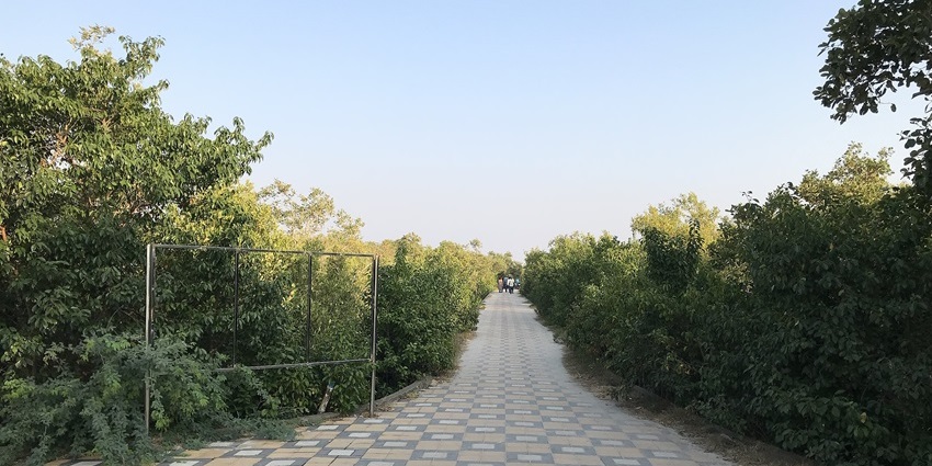 Bakkhali is a serene beach destination, ideal for morning walks and short getaways.
