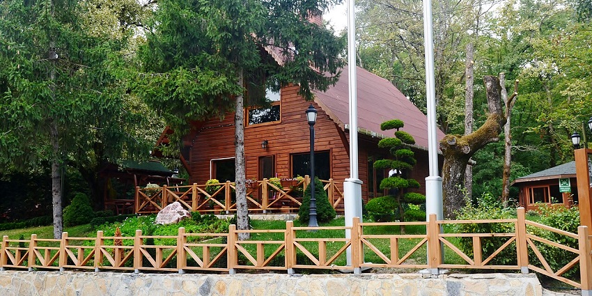 A cosy wooden cabin surrounded by trees and greenery, with a stone fence and garden.