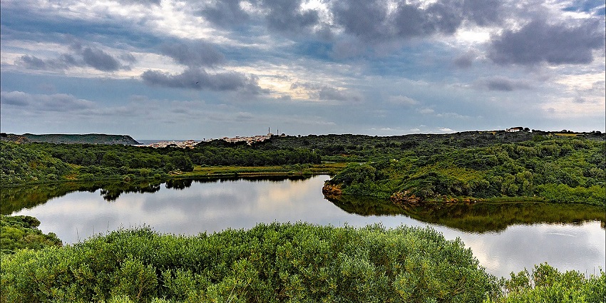Birdwatching at S'Albufera is one of the most peaceful things to do in Menorca Spain.