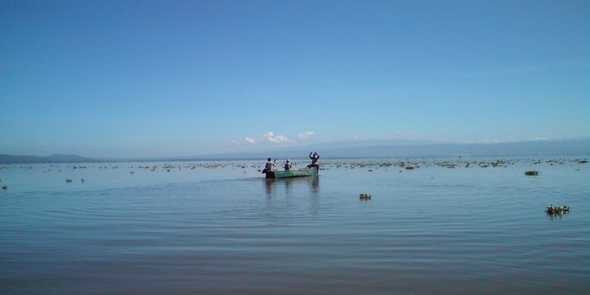 Gliding across a scenic lake is one of the most peaceful things to do in Naivasha.