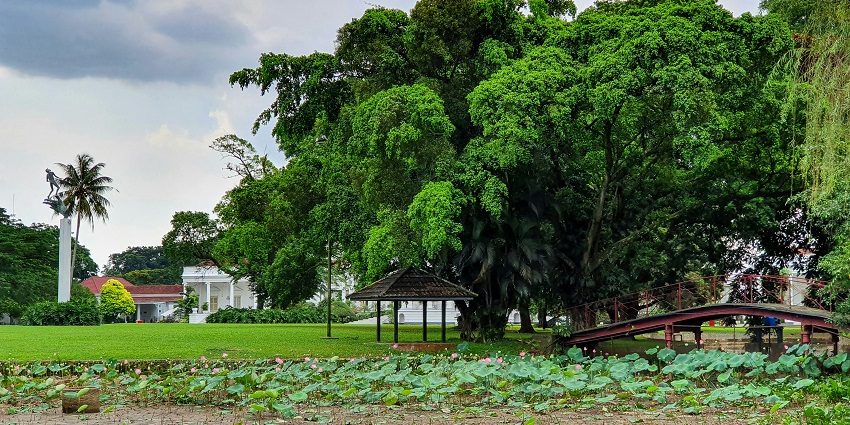 Lush Bogor Botanical Garden, one of the scenic places to visit near Jakarta.
