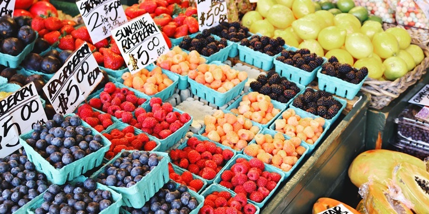 Sampling fresh berries is one of the things to do in Natick MA.