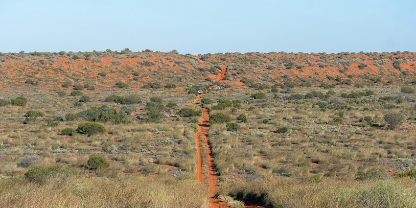 Hike a scenic outback trail while enjoying the most adventurous things to do in Hawker.