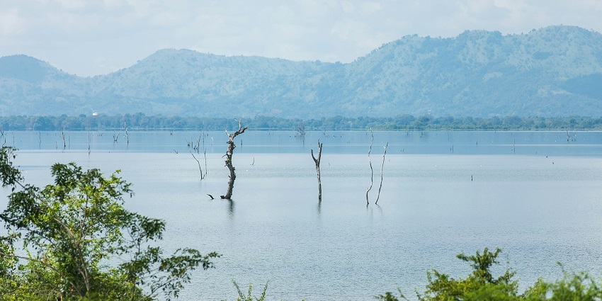 Calm waters of Lake Tanganyika with distant hills and a clear sky in the background.