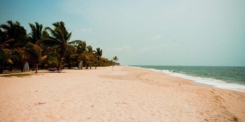 Wide view of Calangute Beach with golden sand, gentle waves, and palm trees.