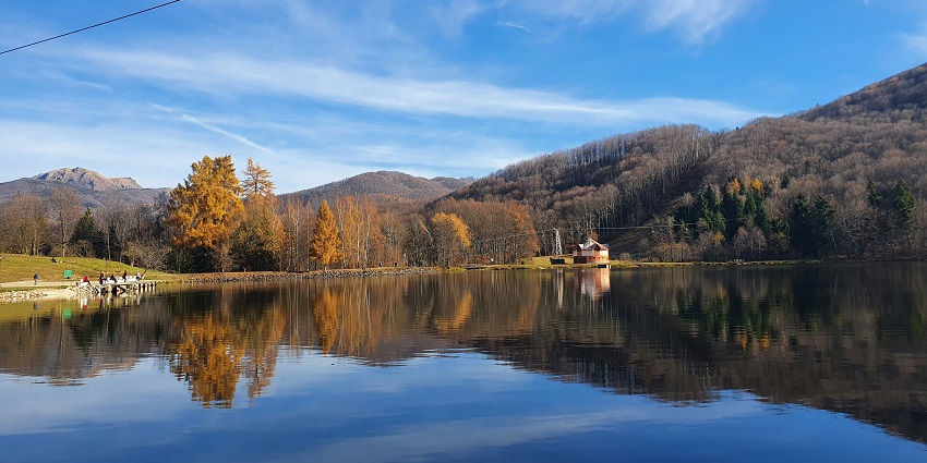 Calarași Lake calm waters surrounded by fields and trees, peaceful nature spot.