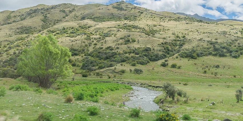 Cardrona River flowing through grassy banks with hills in the background.
