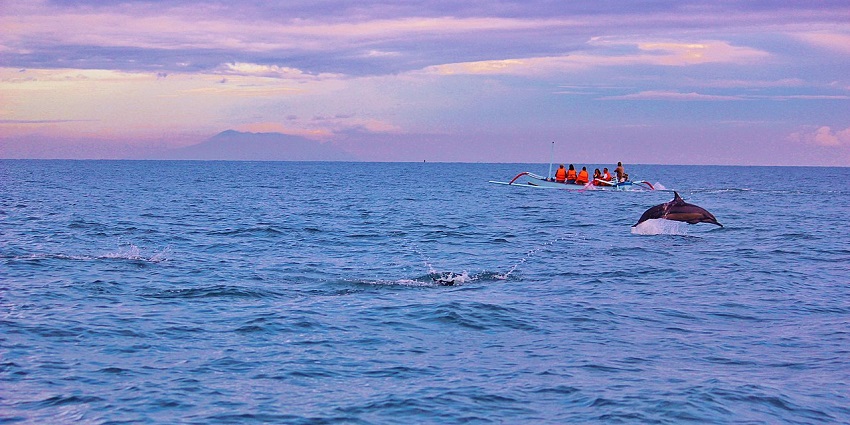 Witnessing dolphins at sunrise is one of the most magical things to do in Lovina.