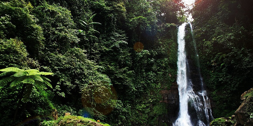 Gitgit Waterfall cascades down a narrow cliffside into a shaded rocky pool in Bali.