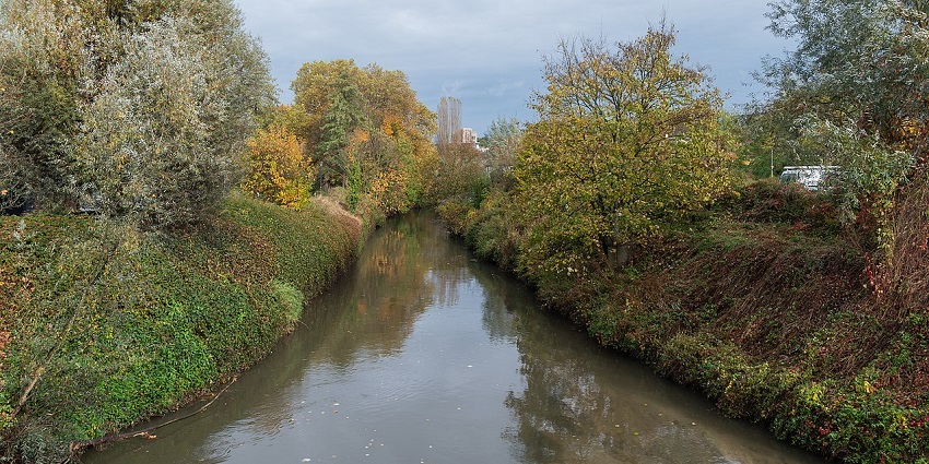 The Dijle River in Leuven flows gently between green banks and overhanging trees.
