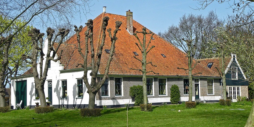 Red-roof white house with a few trees in front, set under a clear blue sky.