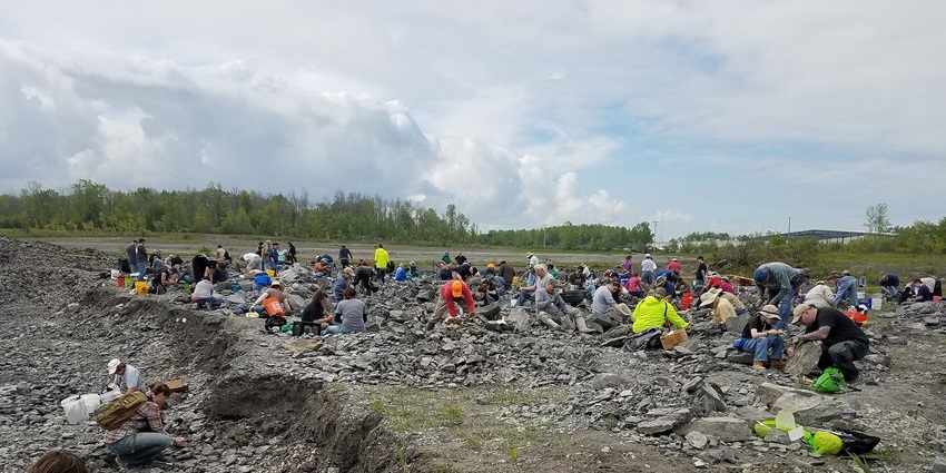 Fossil park with multiple archaeologists exploring the fossils and multiple small rocks on the ground.