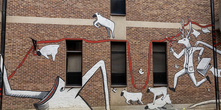 Discovering vibrant murals is one of the most creative things to do in Leuven.
