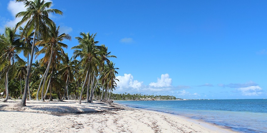 Calm turquoise sea meets a sandy beach lined with palm trees at Cabeza de Toro, Punta Cana.
