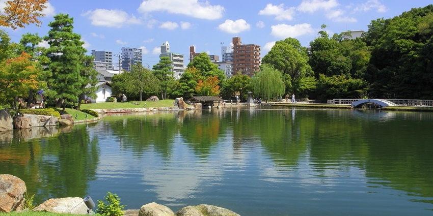 Enjoy the serene pond and lush trees, a peaceful part of things to do in Nagoya at night.