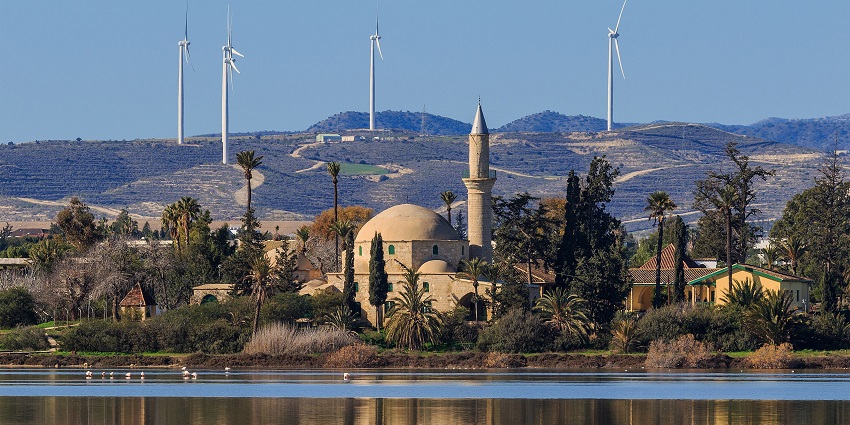Hala Sultan Tekke Mosque at Larnaca Salt Lake, surrounded by palm trees and tranquil water.