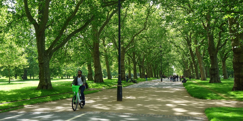 A man rides a bike along a tree-lined path in Hyde Park, London, with people walking ahead.