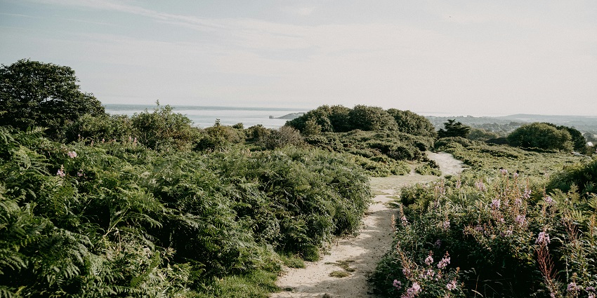 Hiking the scenic Suffolk Coast Path is one of the most rewarding things to do in Kessingland.
